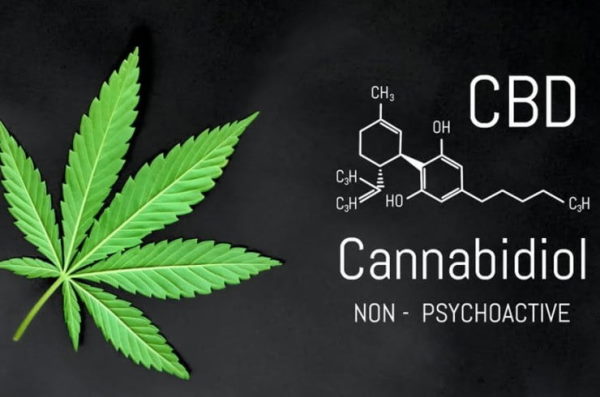 Le Cannabidiol (CBD) n'a pas d'effet psychotique, vous ne risquez pas de planer!